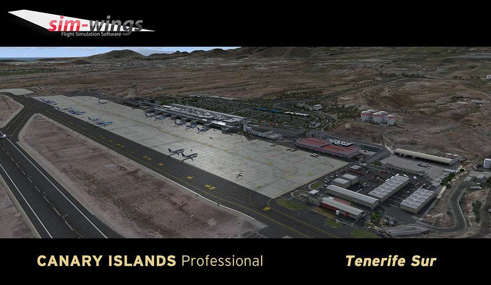 Canary Islands professional - Tenerife Sur